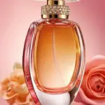 perfumes for women 1765561753