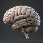 Unknown Brain Song 1 1770280548