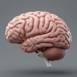 Victim To My Brain Song 1 1770289506