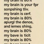 My Brain Is 80% Song Lyrics 1 1770361499