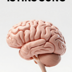 The Brain Song Reviews 1 1770415501